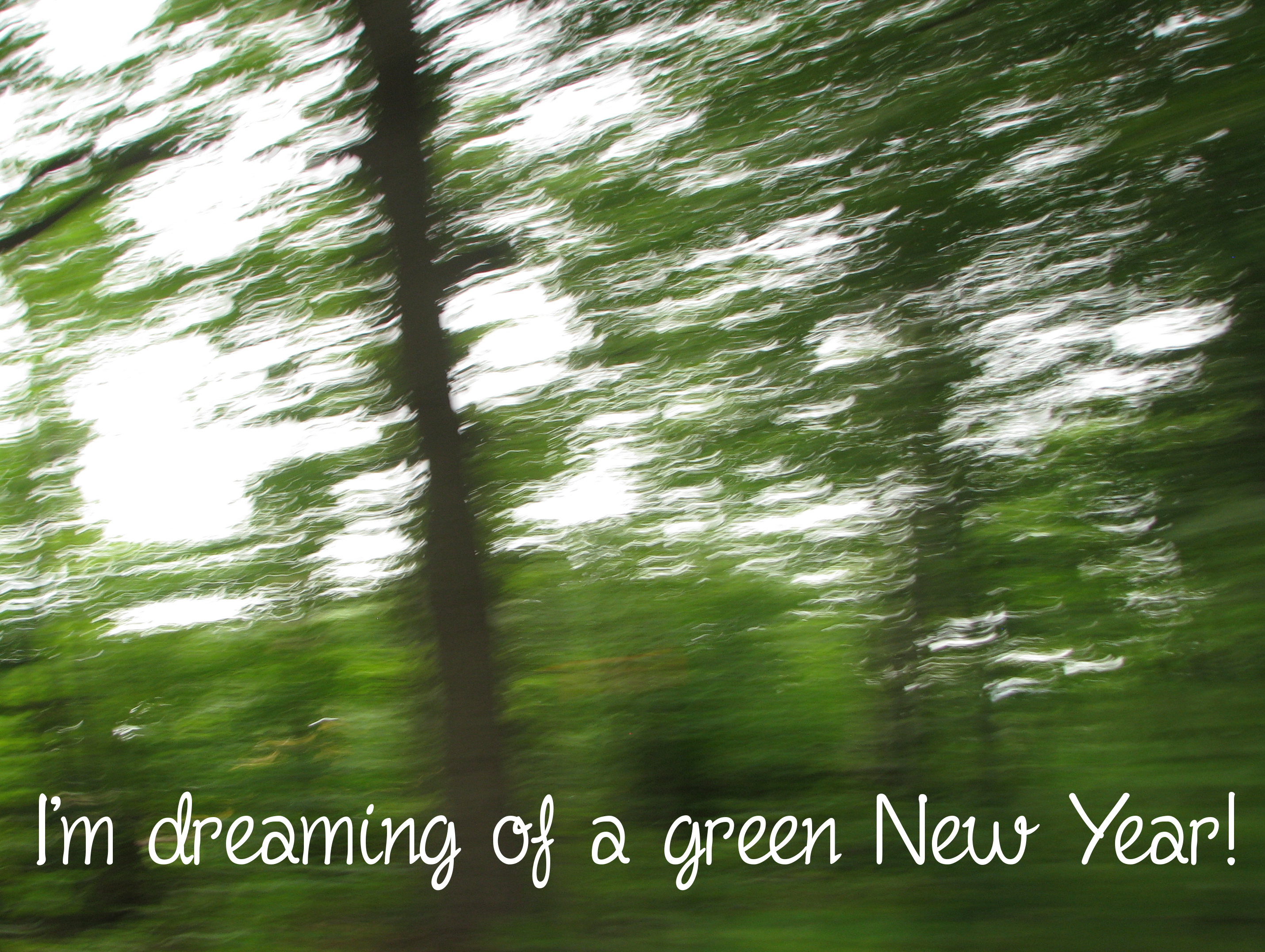 Dreaming of A Green New Year