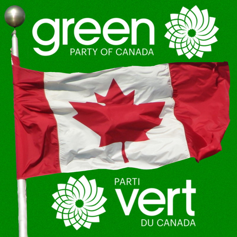 Caryn Bergmann's Green Party web page