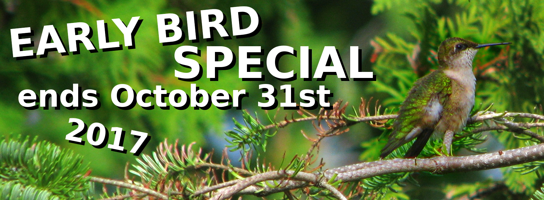 Early Bird Special Ends October 31st, 2017